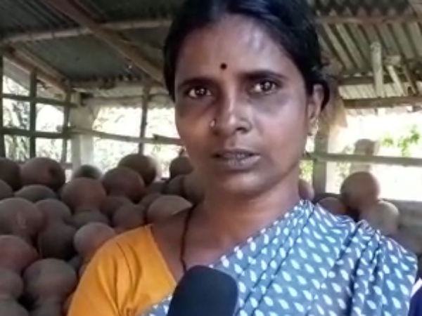 Government give free pots to ration card holders says traditional pot manufacturers in villupuram Government give free pots to ration card holders says traditional pot manufacturers in villupuram