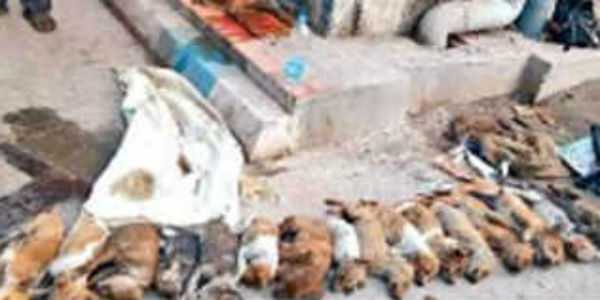 கண்ணீர் வடித்தனர்
