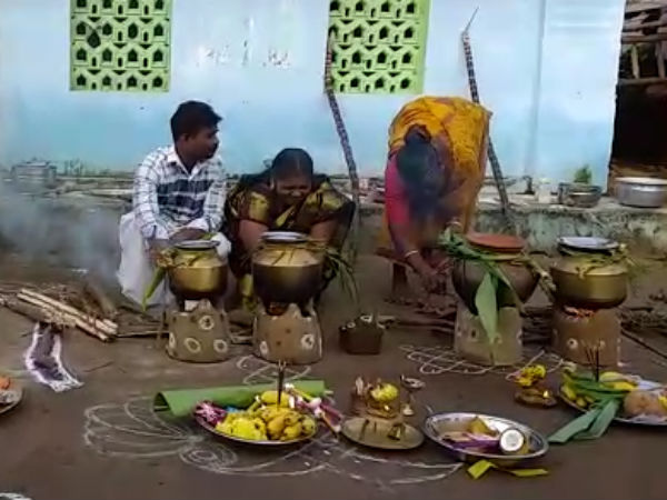 கஜாவை மறந்து பொங்கல் திருவிழா