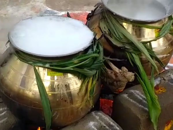 பொங்கலிட்டு மகிழ்ச்சி