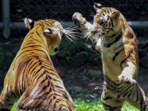 புள்ளி விவரங்கள் இல்லை
