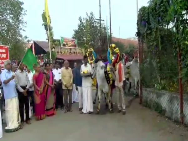 Pongal festival celebrated in tamilnadu agricultural university, coimbatore Pongal festival celebrated in tamilnadu agricultural university, coimbatore