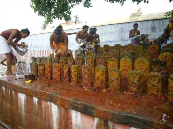 பயணமே வாழ்க்கை