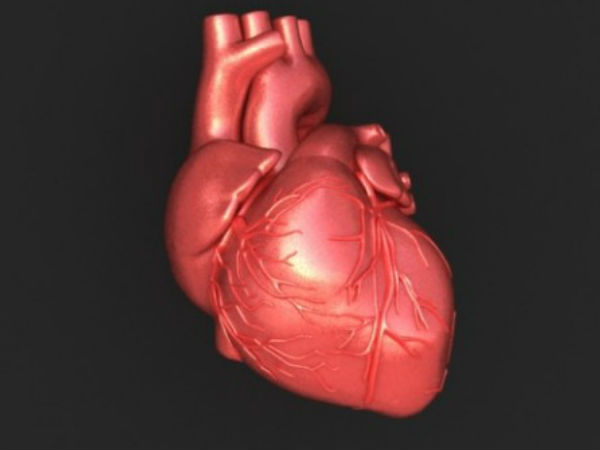 A heart from Mumbai taken to Coimbatore for a heart transplant operation A heart from Mumbai taken to Coimbatore for a heart transplant operation