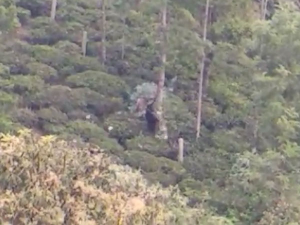 கோரிக்கை
