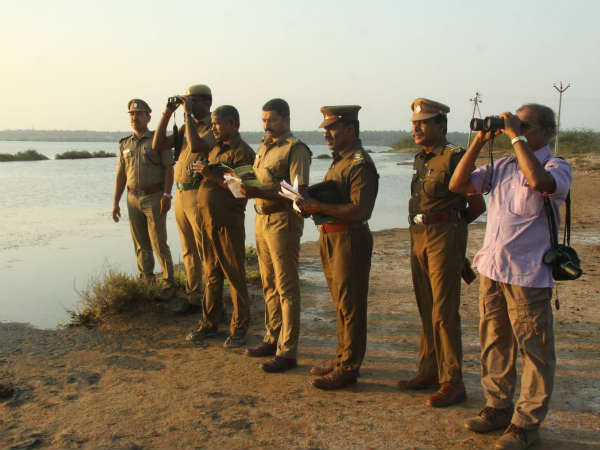 birds population census is taking in kanyakumari birds population census is taking in kanyakumari