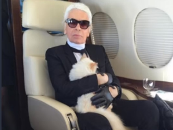 Worlds richest cat in Paris Worlds richest cat in Paris