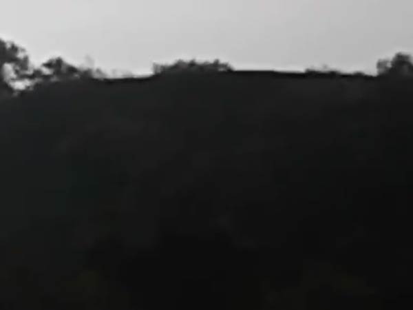 cheetahs roaming in courtallam cheetahs roaming in courtallam