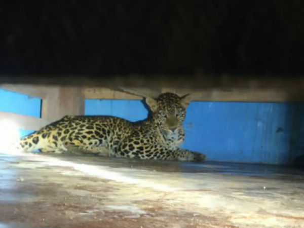 கூச்சலிட்டனர்