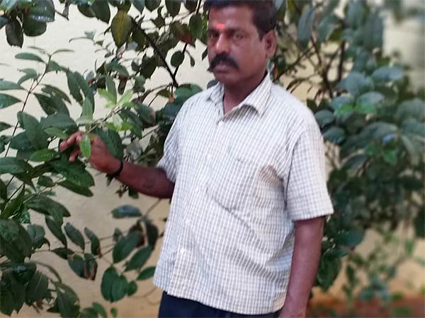 பெருமிதம்