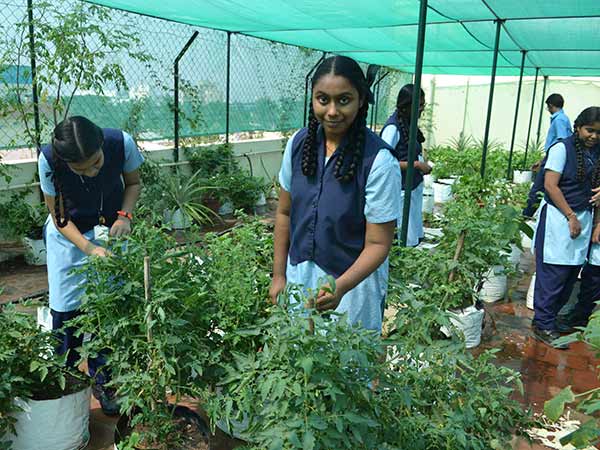 தூதுவளையில ஆரம்பிச்சு