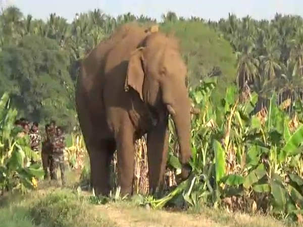 நல்ல தம்பி
