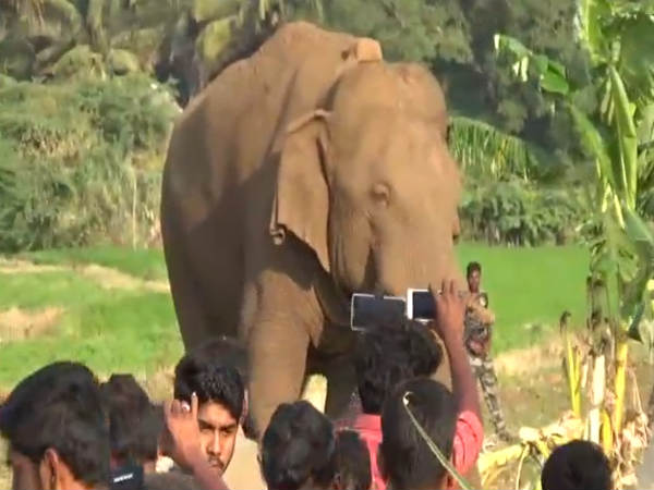 நாளை ஒத்தி வைப்பு