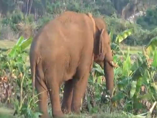 இயற்கை உணவுகள்