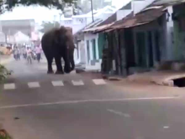 இன்று காலை