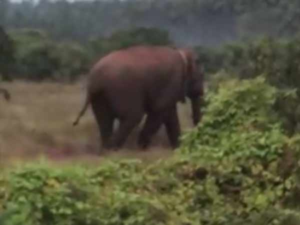 கோரிக்கை