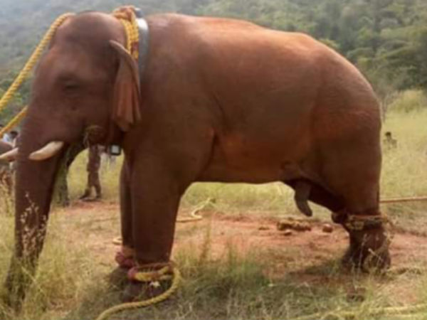 நெருங்கி பழகுவார்