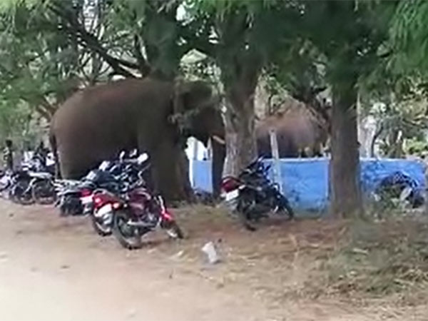 இரவு பகல் வேலை