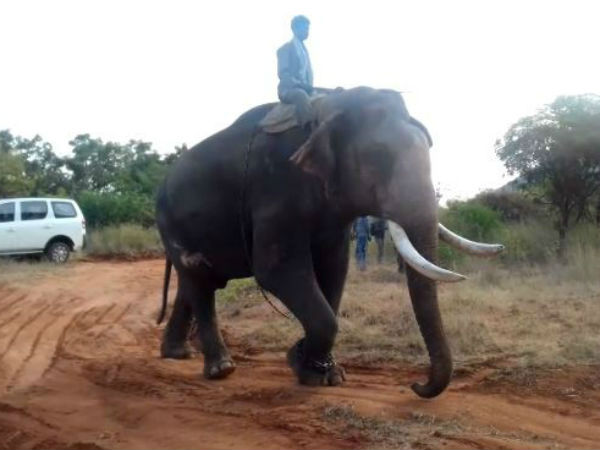 மனரீதியான பாதிப்பு