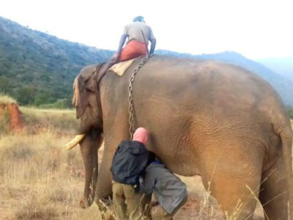 சமாளிக்க வழிமுறை