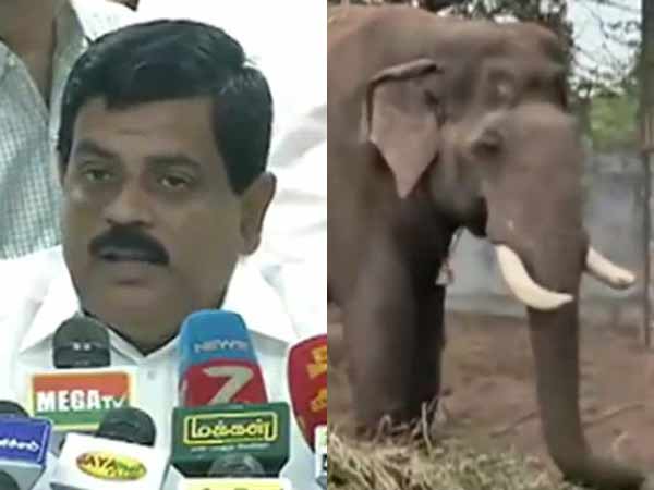 மயக்க ஊசி