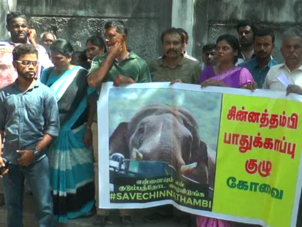 தான் உண்டு தன் வேலை உண்டு