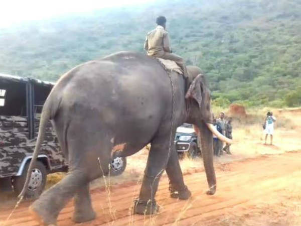 செல்லக்குட்டி சின்னதம்பி