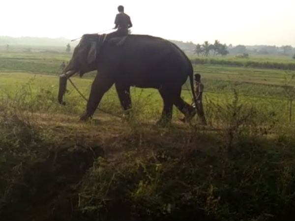 4 முறை முயற்சி