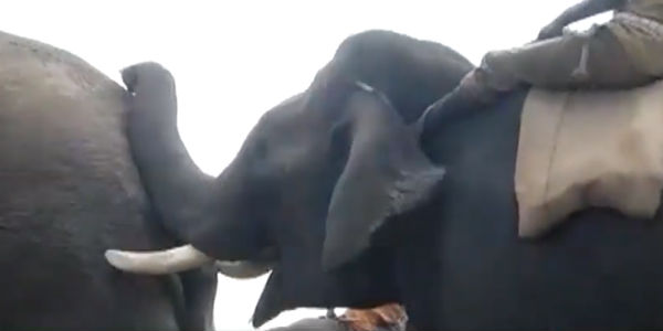 மனதை பிசைந்த சோகம்