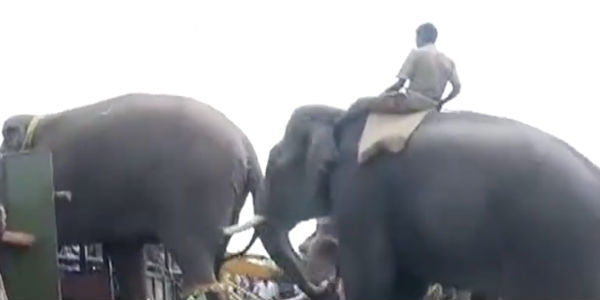 விளையாட்டு