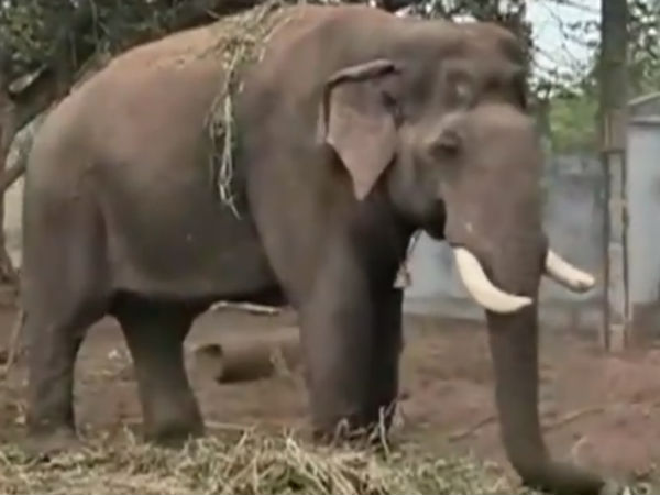 தங்க இடம் இல்லை