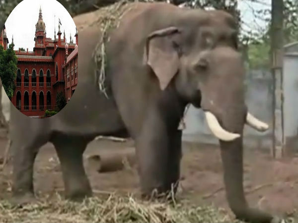 நல்ல தம்பி