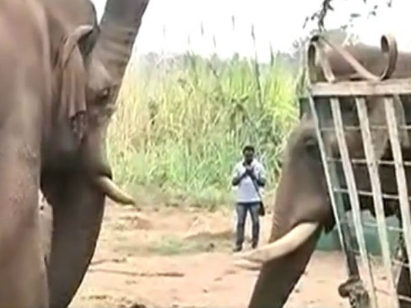 அச்சுறுத்தல் இல்லை