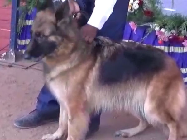 Puducherry Kennel Club conducted a dog show Puducherry Kennel Club conducted a dog show