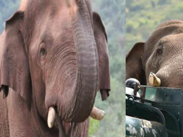 பாதுகாப்பு இல்லாத இடம்