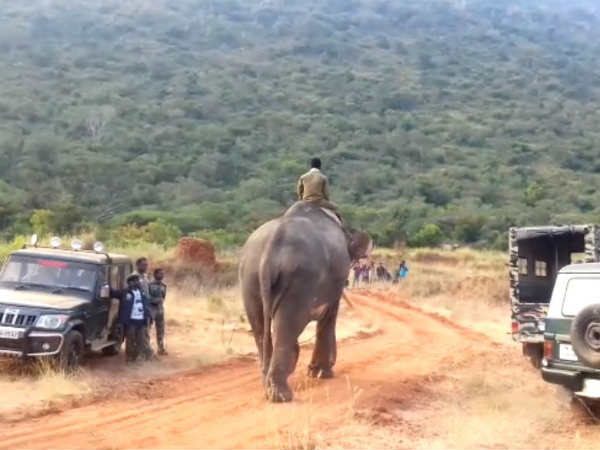 நடந்தே வந்தது