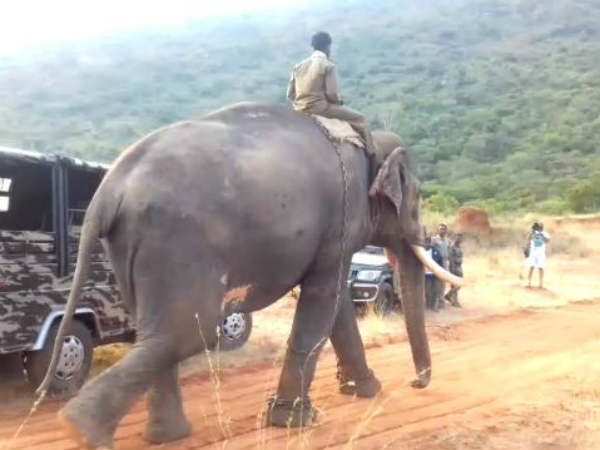 மக்கள் கருத்து