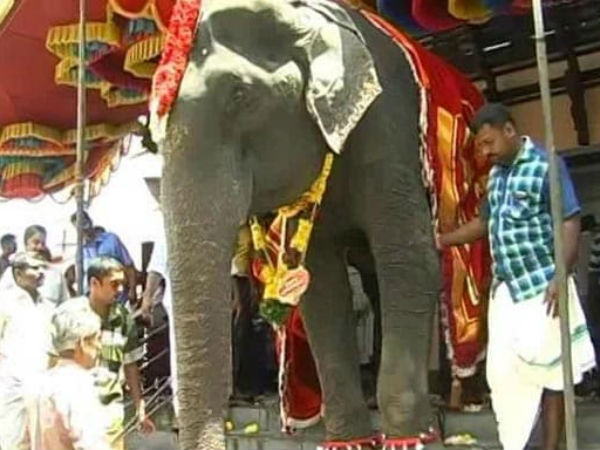 அந்த அளவிற்கு பிடிக்கும்