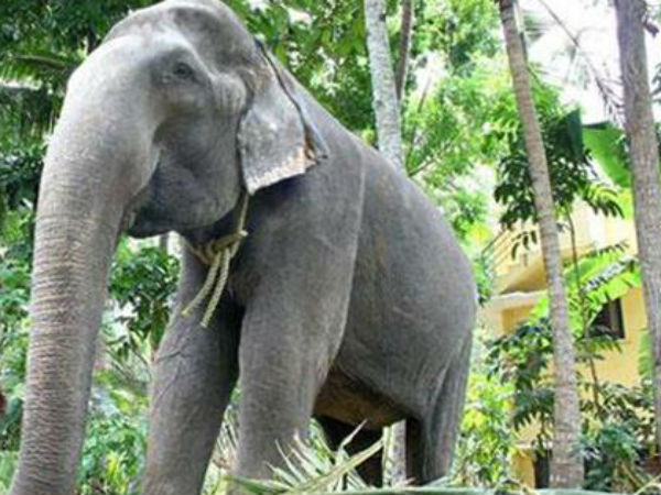 சாதனை படைக்க போனது