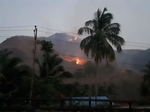The forest fire occurred in aryankavu forest area The forest fire occurred in aryankavu forest area