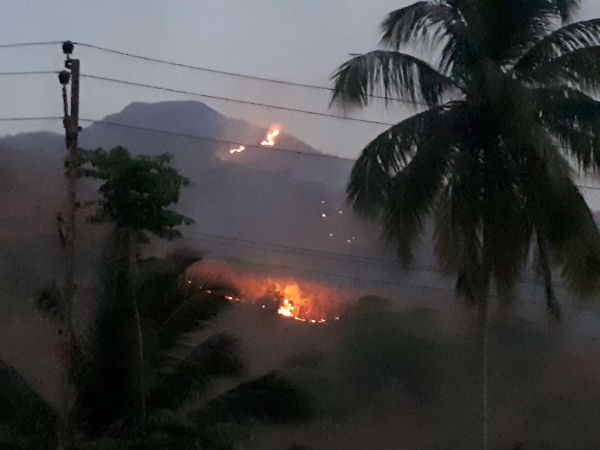 The forest fire occurred in aryankavu forest area The forest fire occurred in aryankavu forest area