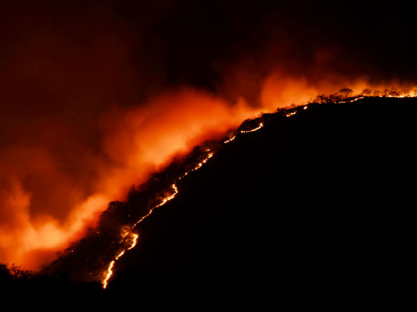 Forest fire may spread in main areas of the mudumalai tiger reserve, forest officials said Forest fire may spread in main areas of the mudumalai tiger reserve, forest officials said