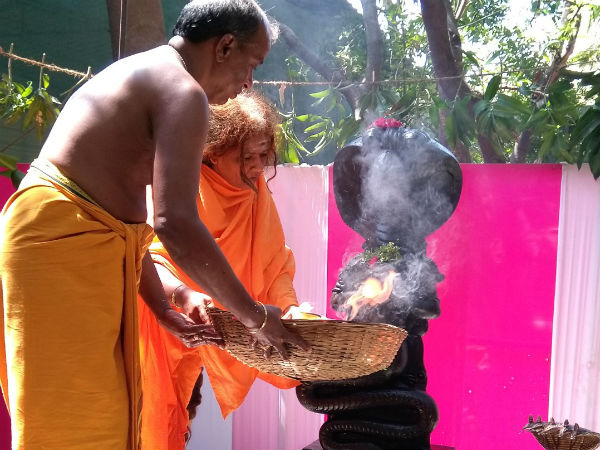 சனி கேது கூட்டணி