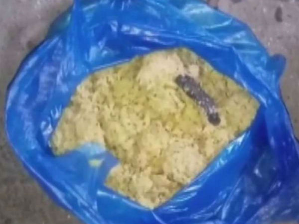 snake found in school mid day meal snake found in school mid day meal