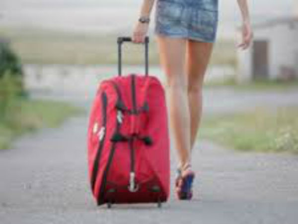 Gecko journey Srilanka to England Gecko journey Srilanka to England