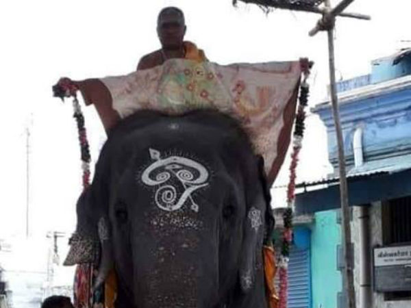 Masi festival begins in Tiruchendur Murugan temple Masi festival begins in Tiruchendur Murugan temple