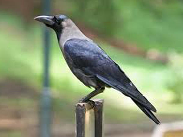 4 மாதங்களுக்கு மழை