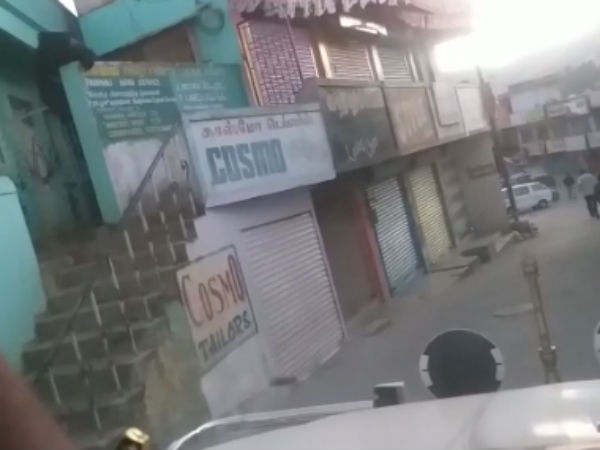 மாடியில் கரடி