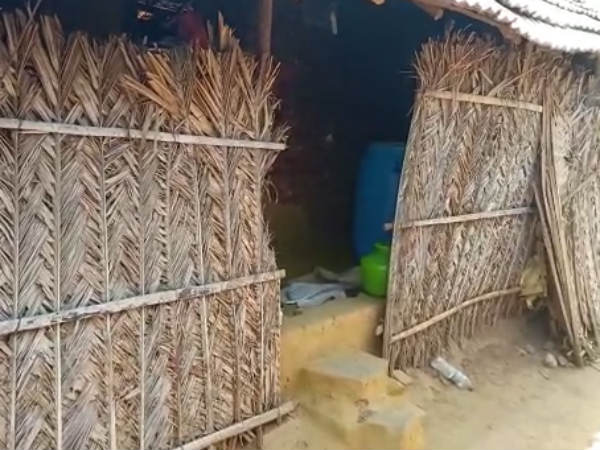 பாட்டியை பார்க்க