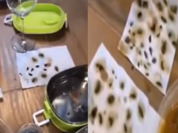 woman finds more than 40 dead cockroaches in takeaway meal woman finds more than 40 dead cockroaches in takeaway meal